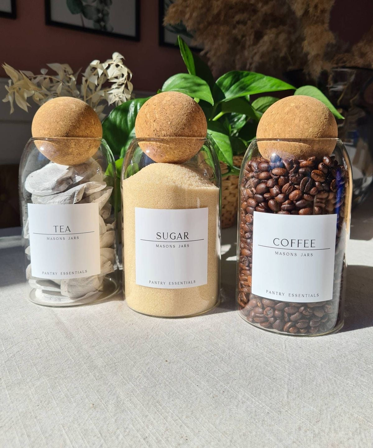 Set of 3 Medium Cork Jar Set ( Plain )