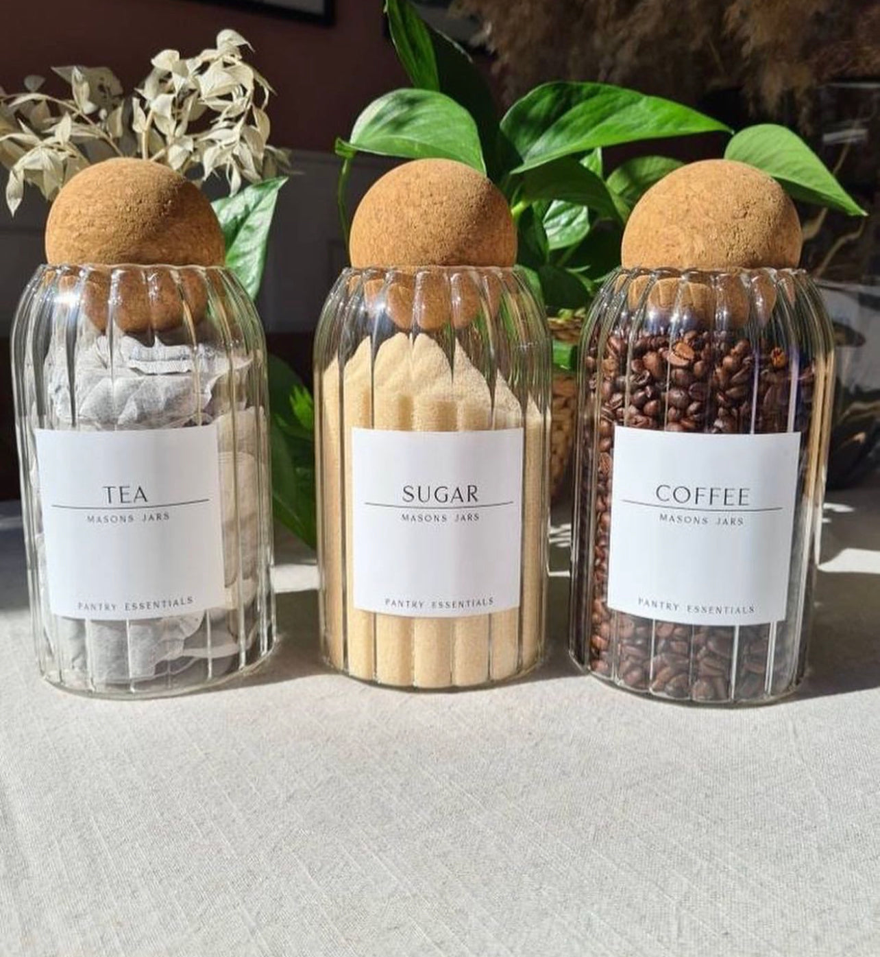 Set of 3 Medium Cork Jar Set